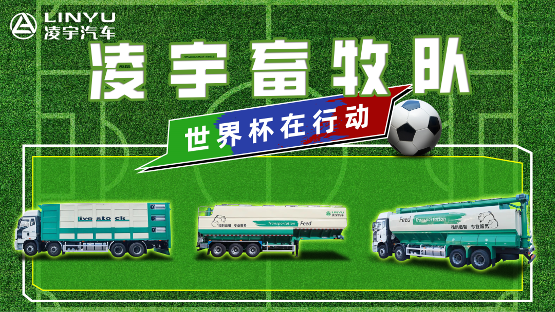 奪冠世界杯！你注意到這支球隊(duì)了嗎？